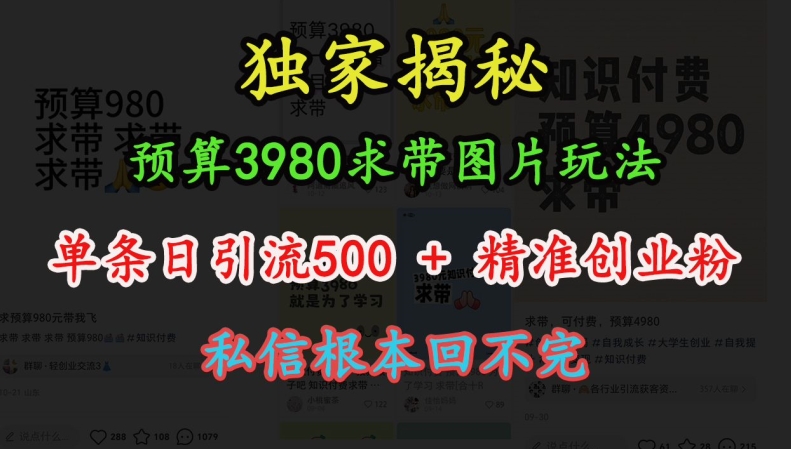 预算3980求带 图片玩法，单条日引流500+精准创业粉，私信根本回不完-猫哥网资源库