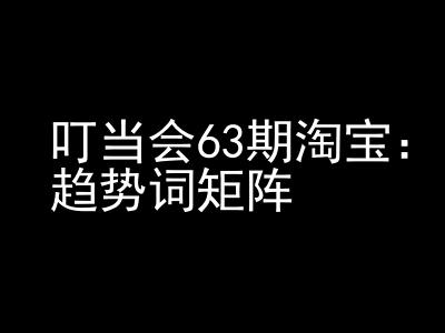 《淘宝天猫打爆班》原创高阶技术第63期，趋势词矩阵技术和玩法-猫哥网资源库