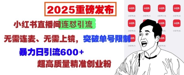 2025重磅发布：小红书直播间连怼引流，无需连麦、无需上镜，突破单号限制，暴力日引流600+-猫哥网资源库