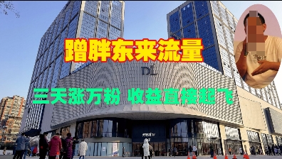 蹭胖东来流量，三天涨万粉，收益直接起飞-猫哥网资源库