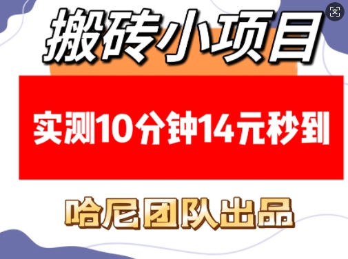 搬砖小项目，实测10分钟14元秒到，每天稳定几张(赠送必看稳定)-猫哥网资源库