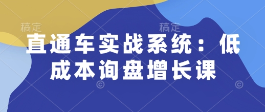 直通车实战系统：低成本询盘增长课，让个人通过技能实现升职加薪，让企业低成本获客，订单源源不断-猫哥网资源库