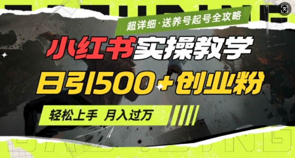 2月小红书最新日引500+创业粉实操教学【超详细】小白轻松上手，月入1W+，附小红书养号起号SOP-猫哥网资源库