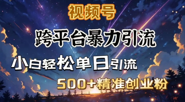 跨平台暴力引流，私域完美闭环，日引500+精准创业粉-猫哥网资源库