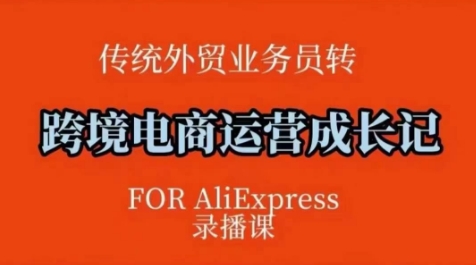 跨境电商速卖通运营课，​运营方法论+后台实操，逻辑清晰-猫哥网资源库