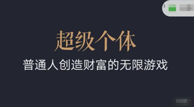 超级个体2024-2025翻盘指南，普通人创造财富的无限游戏-猫哥网资源库