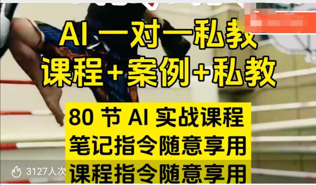 AI指令实战课，课程+案例，80节AI实战课程，笔记指令随意享用，课程指令随意享用-猫哥网资源库