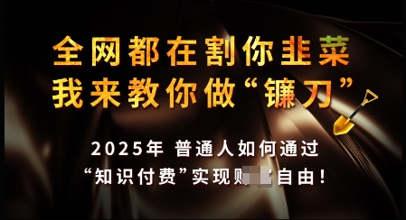 知识付费如何做到月入过W+，2025我来教你做“镰刀”【揭秘】-猫哥网资源库