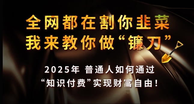 全网都在割你韭菜，我来教你做镰刀，2025年普通人如何通过 知识付费 实现财F自由【揭秘】-猫哥网资源库