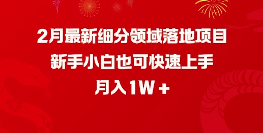 2月最新细分领域落地项目，新手小白也可快速上手，月入1W-猫哥网资源库