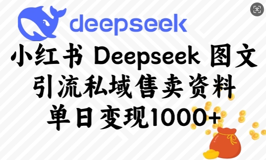 小红书Deepseek图文引流私域售卖资料，单日变现多张-猫哥网资源库