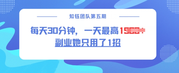 副业她只用了1招，每天30分钟，无脑二创，一天最高1.5k-猫哥网资源库