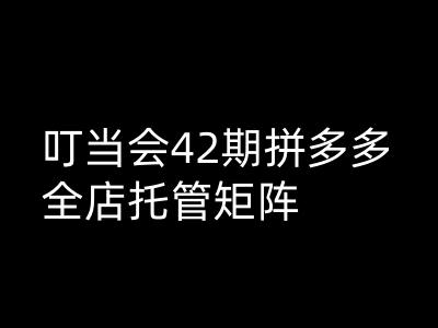 叮当会拼多多打爆班原创高阶技术第42期，拼多多全店托管矩阵-猫哥网资源库