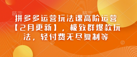 拼多多运营玩法课高阶运营【2月更新】，极致群爆款玩法，轻付费无尽复制等-猫哥网资源库