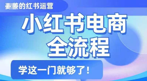 小红书电商全流程，精简易懂，从入门到精通，学这一门就够了-猫哥网资源库