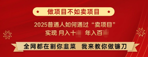 必看，做项目不如卖项目，2025普通人如何通过“卖项目”实现月入十个，年入百个-猫哥网资源库