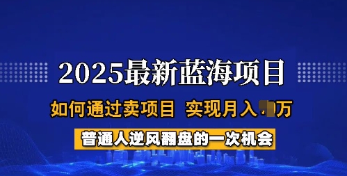 2025蓝海项目，普通人如何通过卖项目，实现月入过W，全过程【揭秘】-猫哥网资源库