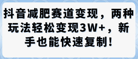 抖音减肥赛道变现，两种玩法轻松变现3W+，新手也能快速复制-猫哥网资源库