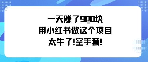 一天挣了9张用小红书做这个项目太牛了，空手套-猫哥网资源库