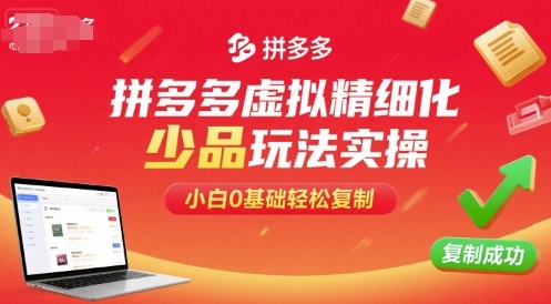 拼多多虚拟精细化少品玩法实操，小白0基础轻松复制-猫哥网资源库