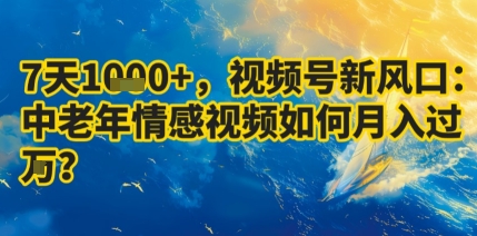7天收益1k+，视频号新风口：中老年情感视频如何月入过W?-猫哥网资源库