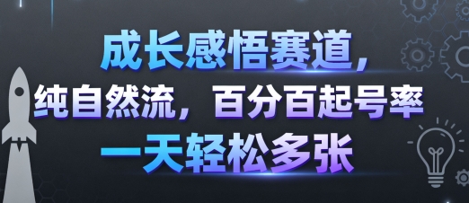 成长感悟赛道，纯自然流，百分百起号率 一天轻松多张-猫哥网资源库