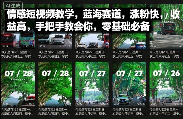 情感短视频教学，蓝海赛道，涨粉快，收益高，手把手教会你，零基础必备-猫哥网资源库