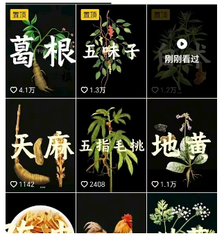 抖音中草药赛道，用AI做中草药故事视频，45条作品涨粉13W，橱窗带货猛猛出单-猫哥网资源库