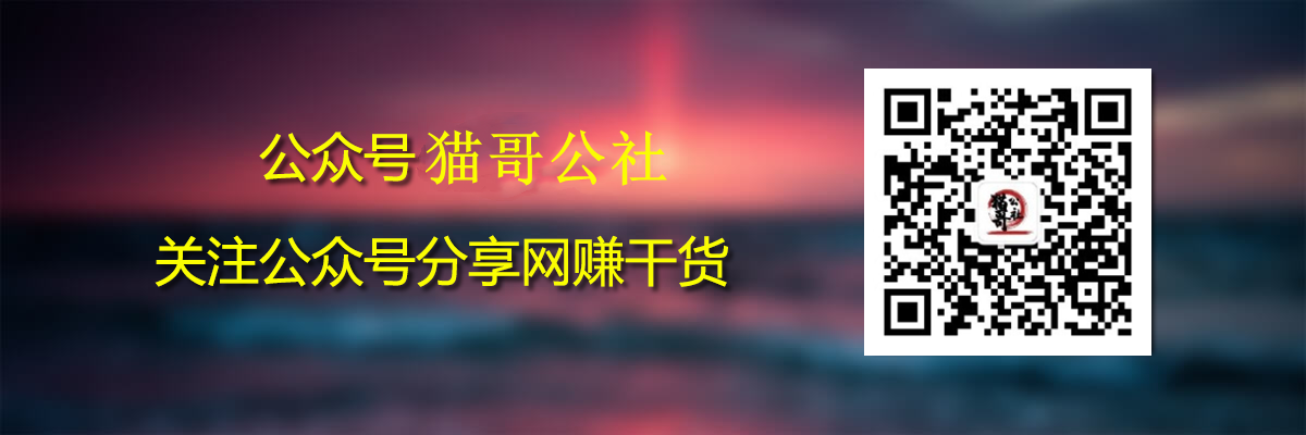 暴疯团队VIP：网站SEO赚钱培训-年赚百万绝对不只是梦想-猫哥网资源库
