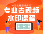 专业去视频水印教程 静态水印、动态水印、文字水印、图片水印一套教程通通搞定-猫哥网资源库