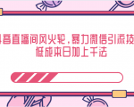 抖音直播间风火轮,暴力微信引流技术,低成本日加上千法-猫哥网资源库