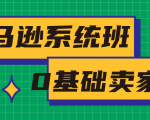 亚马逊系统班,专为0基础卖家量身打造,亚马逊运营流程与架构-猫哥网资源库