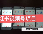 野路子小红书视频号1.0项目,直接上手操作就能赚钱的视频号项目-猫哥网资源库