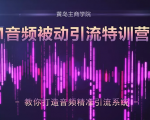黄岛主·FM音频引流特训营2.0:独家引流模式,单账号50W+播放量,轻松变现-猫哥网资源库
