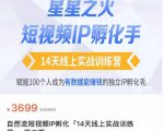 瑶瑶·自然流短视频IP孵化第二期,14天线上实战训练营,赋能100个人成为有数据能赚钱的独立IP孵化手-猫哥网资源库