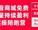 抖音商城搜索持续盈利陪跑成长营,抖音商城搜索从0-1、从1到10的全面解决方案-猫哥网资源库