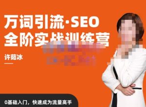 许茹冰·万词引流-SEO全阶实战训练营,0基础入门,快速成为流量高手-猫哥网资源库