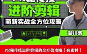 PR进阶剪辑培训班,让你快速成为剪辑大师12节视频课程+素材!-猫哥网资源库