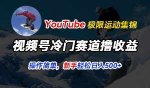 视频号冷门赛道撸收益,YouTube搬运极限运动集锦,暴力起号,操作简单流量高,轻松日入5张【揭秘】-猫哥网资源库