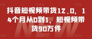 抖音短视频带货12.0,14个月从0到1,短视频带货90万件-猫哥网资源库