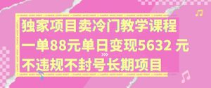 独家项目卖冷门教学课程一单88元单日变现5632元违规不封号长期项目【揭秘】-猫哥网资源库