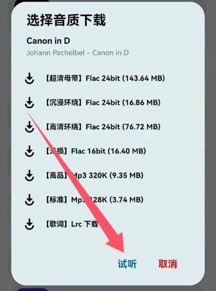 图片[5]-SeekMusic：免费的无损音乐下载器，最高可下母带级音质！-科技乐小天